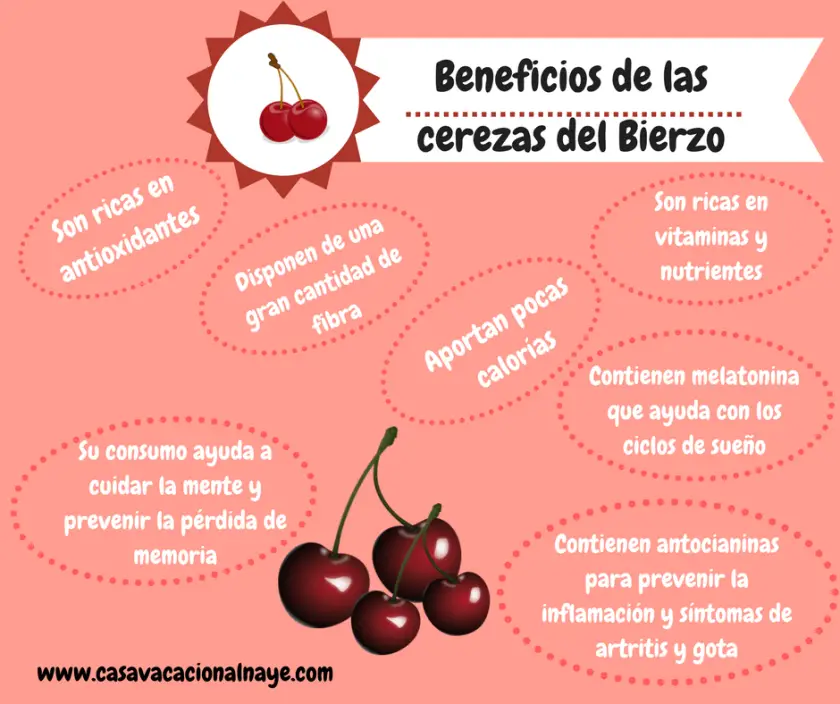 Beneficios-de-la-cerezas-del-Bierzo Beneficios de las cerezas bercianas